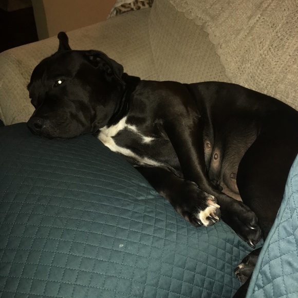 Meet your Posher, Tammy!!! - Picture 2 of 5